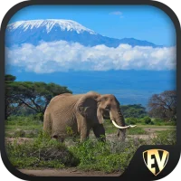 Tanzania Travel & Explore, Off